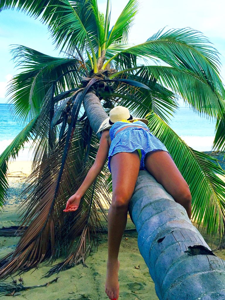 Tara on a coconut tree in tobago